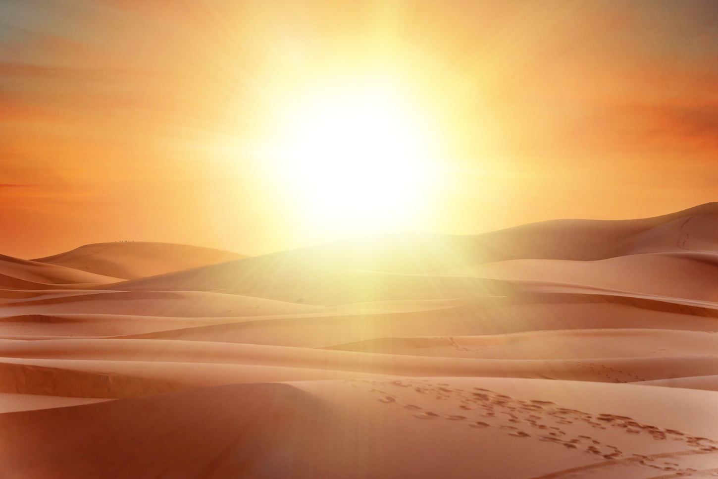 Shalowa-savoir-cosmique-le-magnetisme